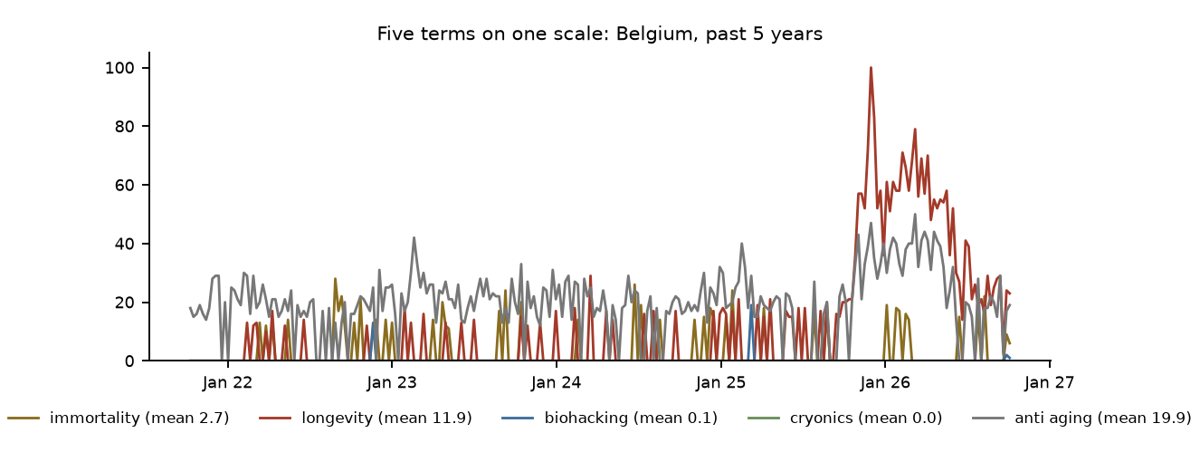 Google Trends Belgium, five terms, past 5 years