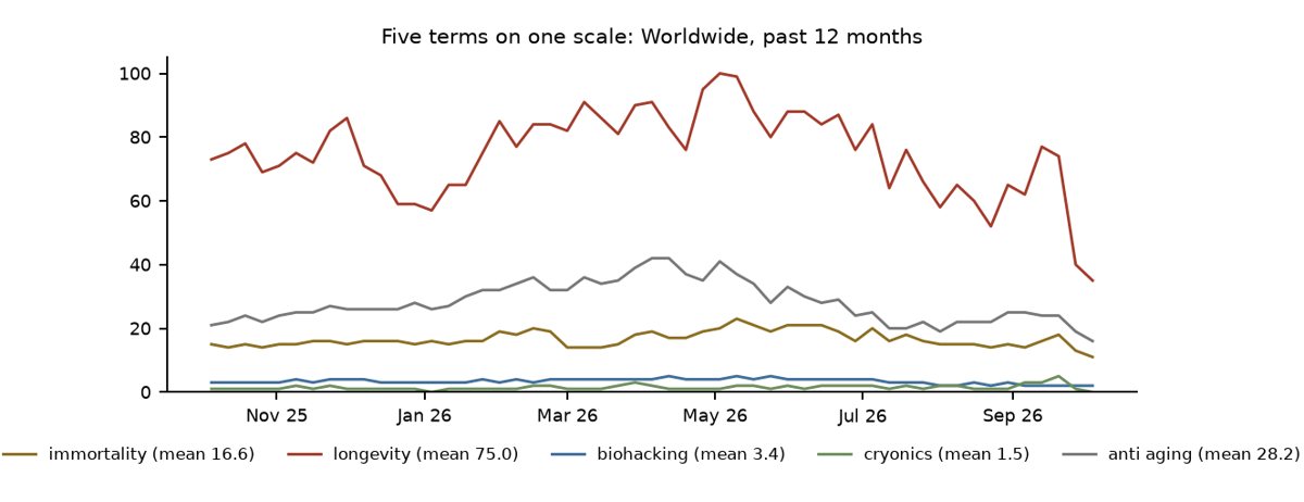 Google Trends worldwide, five terms, past 12 months